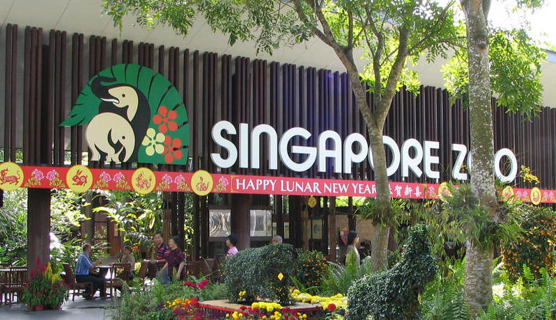 singapore-zoo